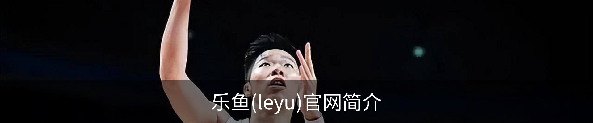 乐鱼(leyu)官网简介