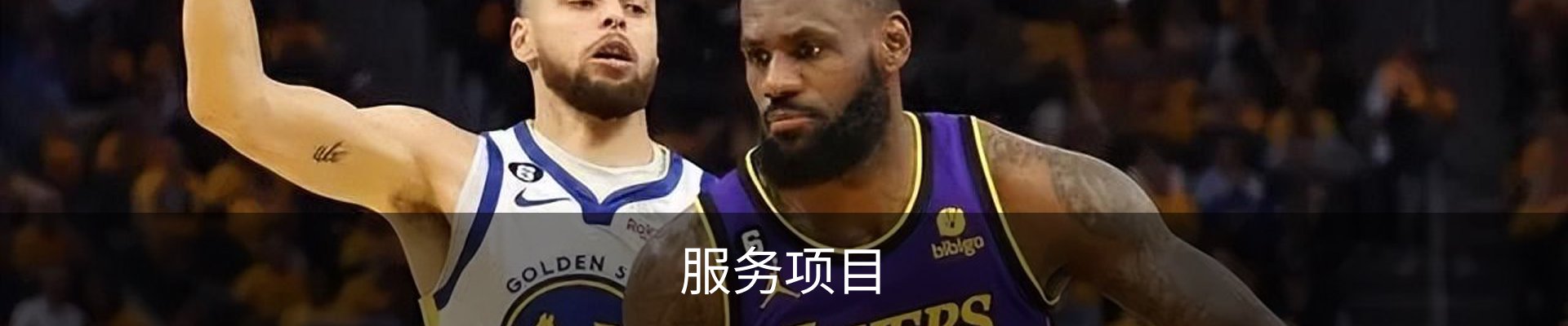 服务项目